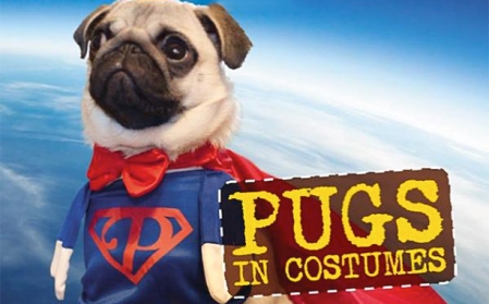 pugs-in-costume