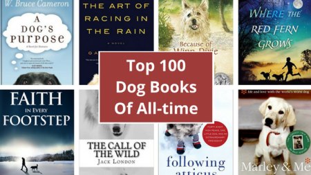 best-dog-books